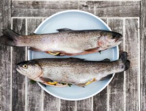 Производи Богати Со Магнезиум риба