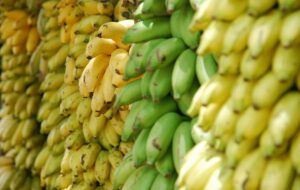 Богати Со Магнезиум